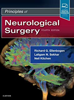 Principles Of Neurosurgery Setti Rengachary Pdf Viewer